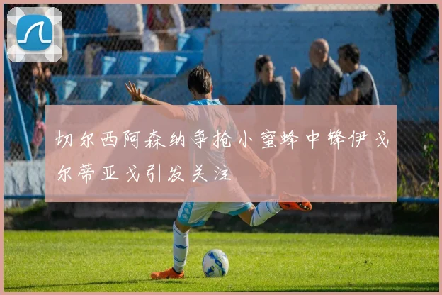 切尔西阿森纳争抢小蜜蜂中锋伊戈尔蒂亚戈引发关注