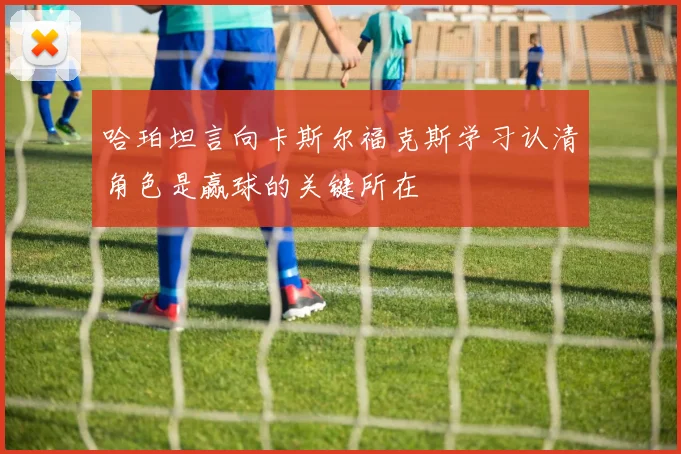 哈珀坦言向卡斯尔福克斯学习认清角色是赢球的关键所在